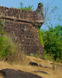Chapora Fort