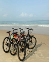 Cycling through Siolim