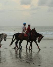 Horseback riding at Morjim