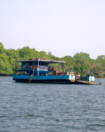 Ferry Divar Island